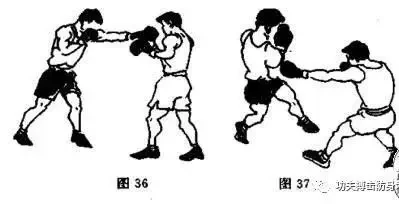 视频教程示例
