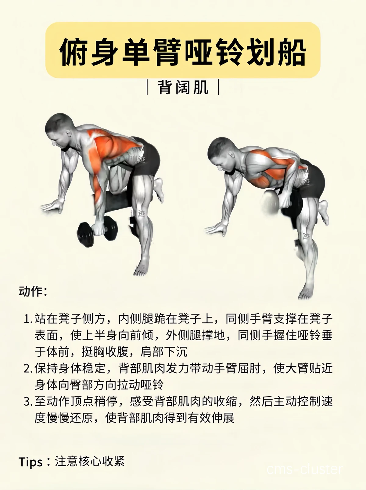 体能训练图解