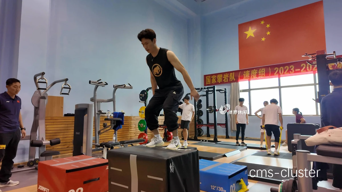 体能训练指南