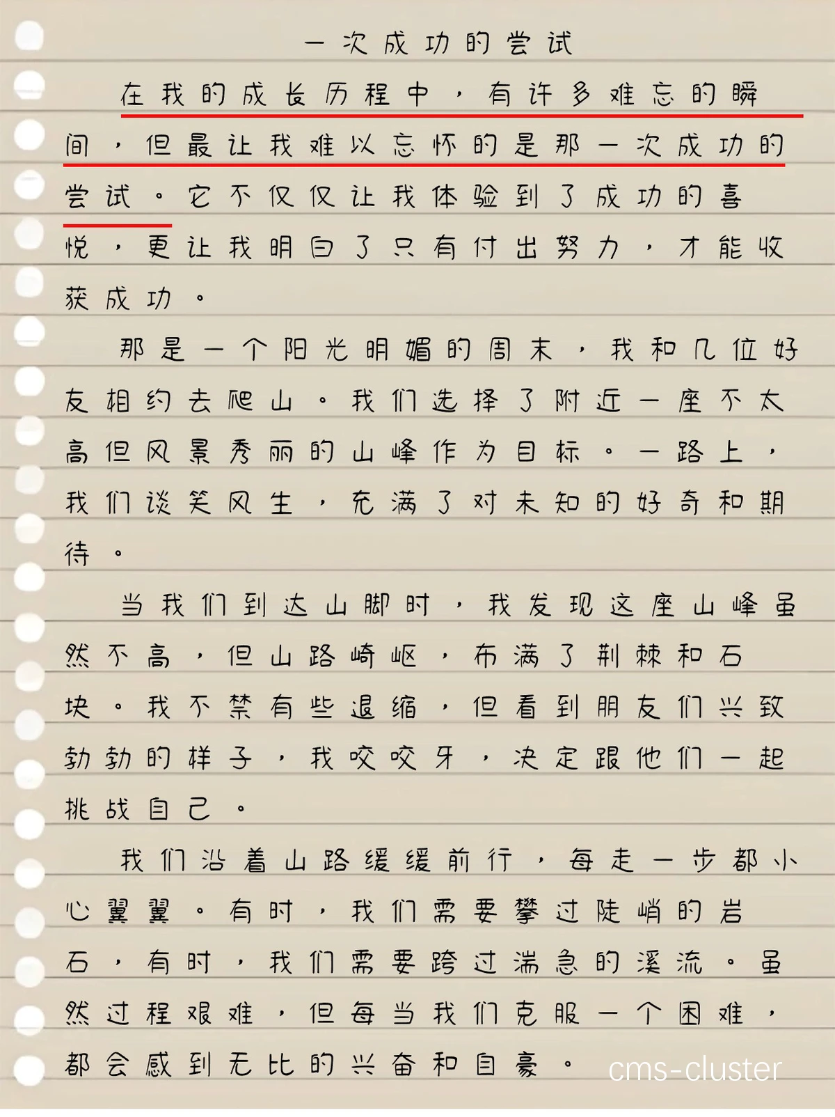 训练日记示例