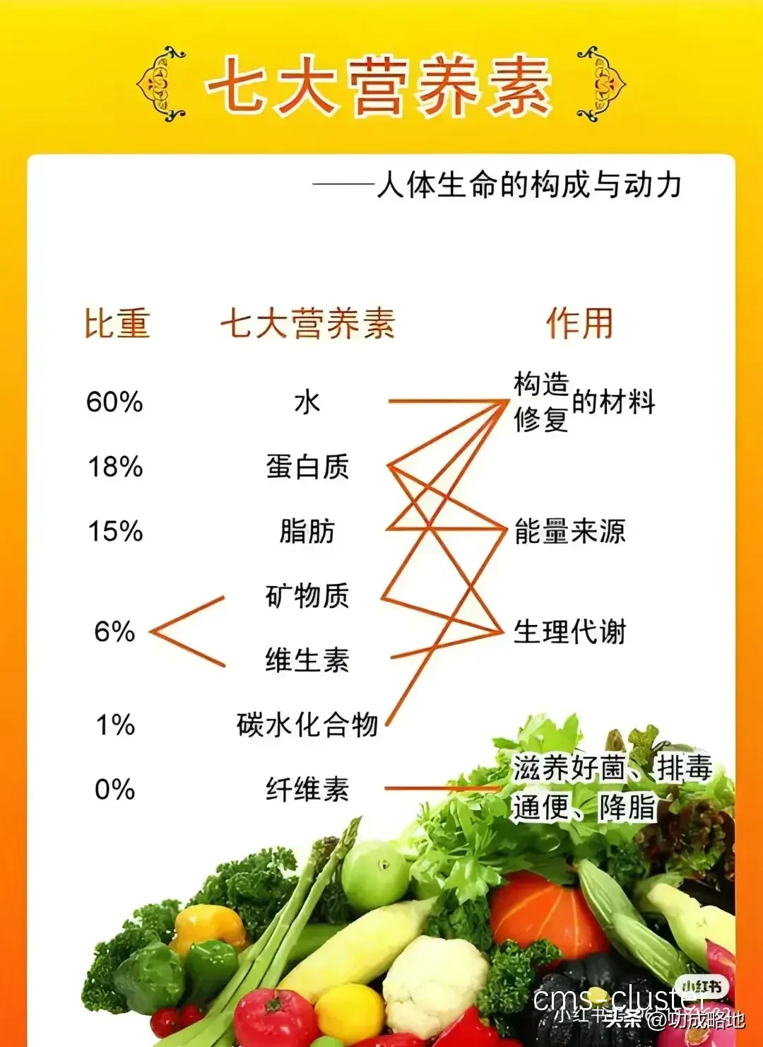 营养补充的重要性