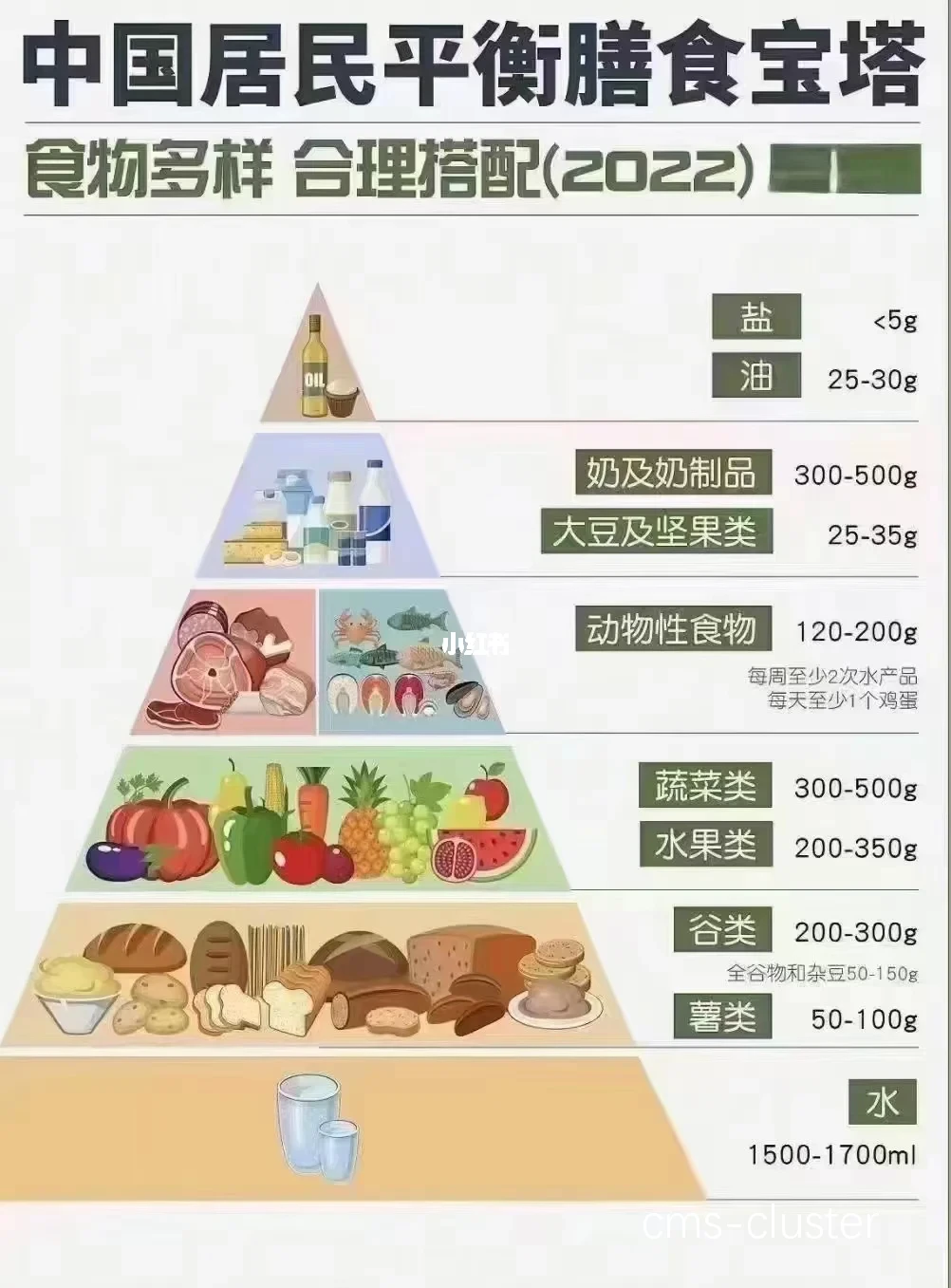 营养补充指南