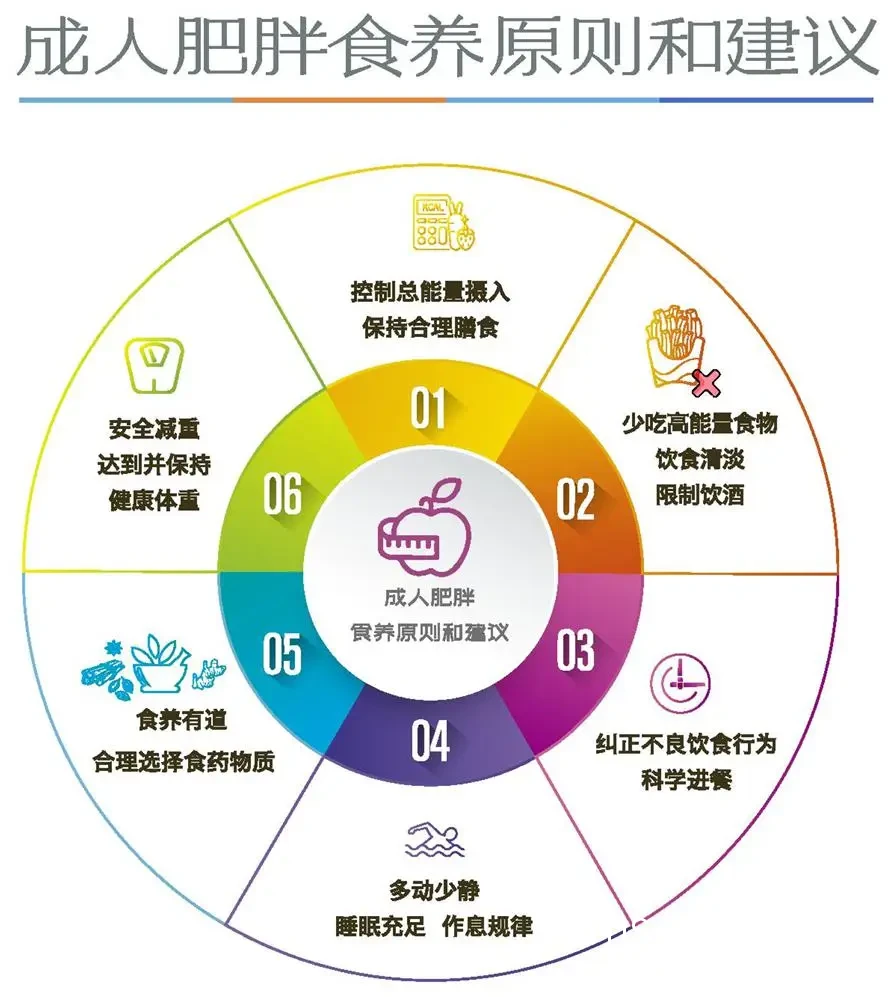 营养素搭配图