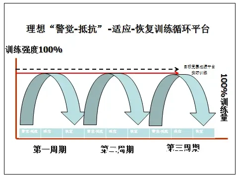 周期训练示意图