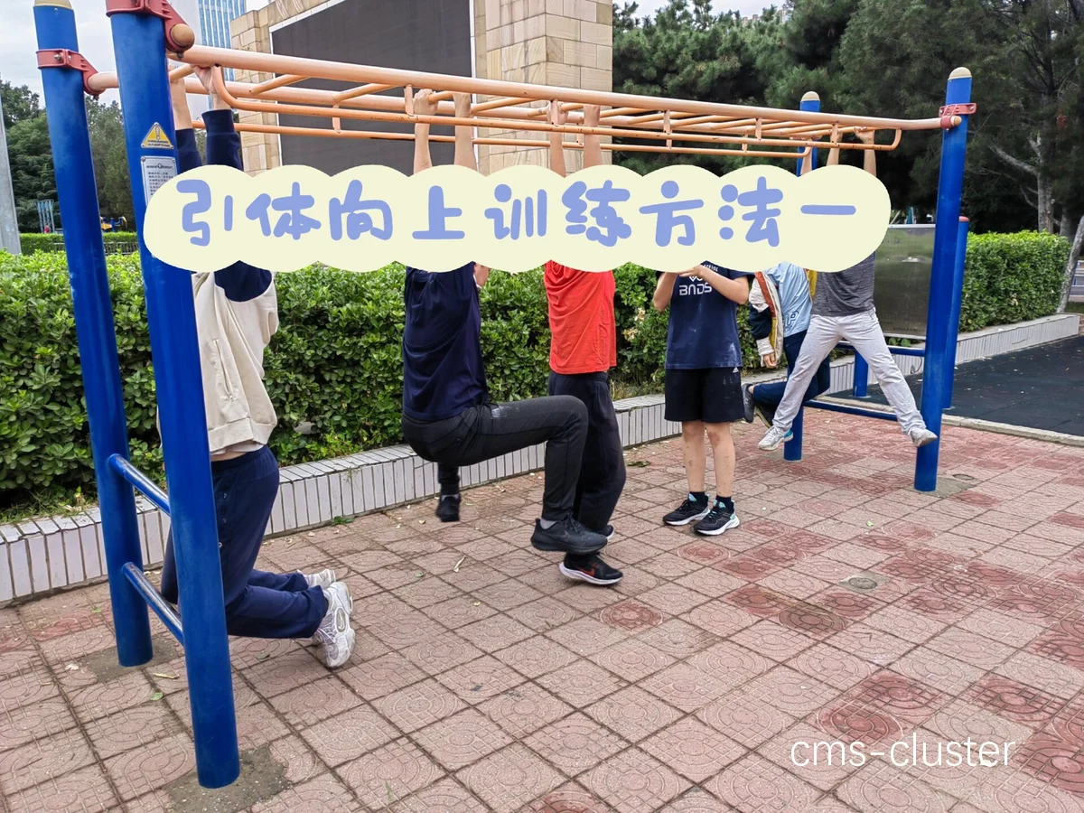 科技辅助训练法的应用