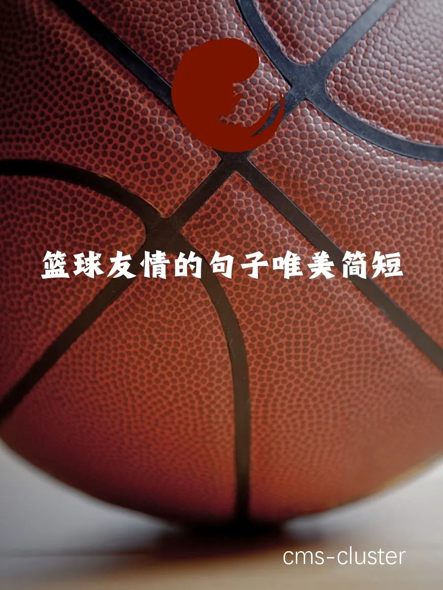 篮球训练带来的快乐
