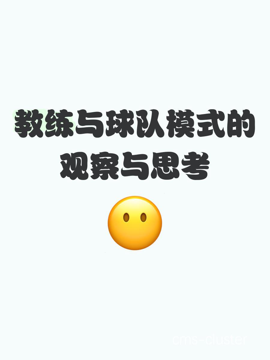 视频分析界面截图