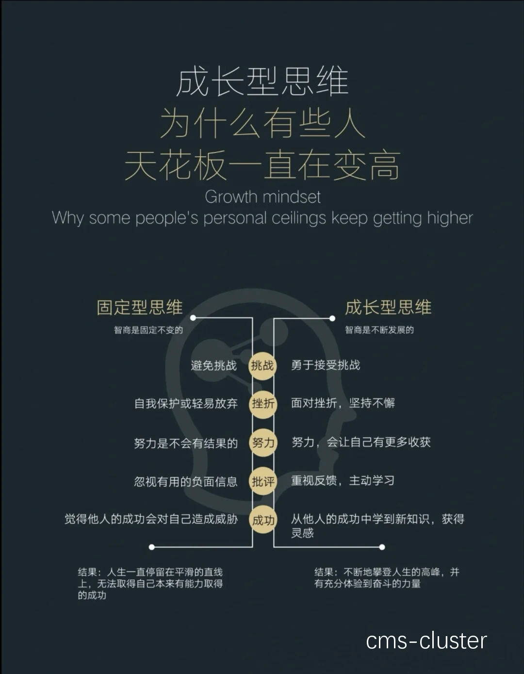 挑战与成长示例