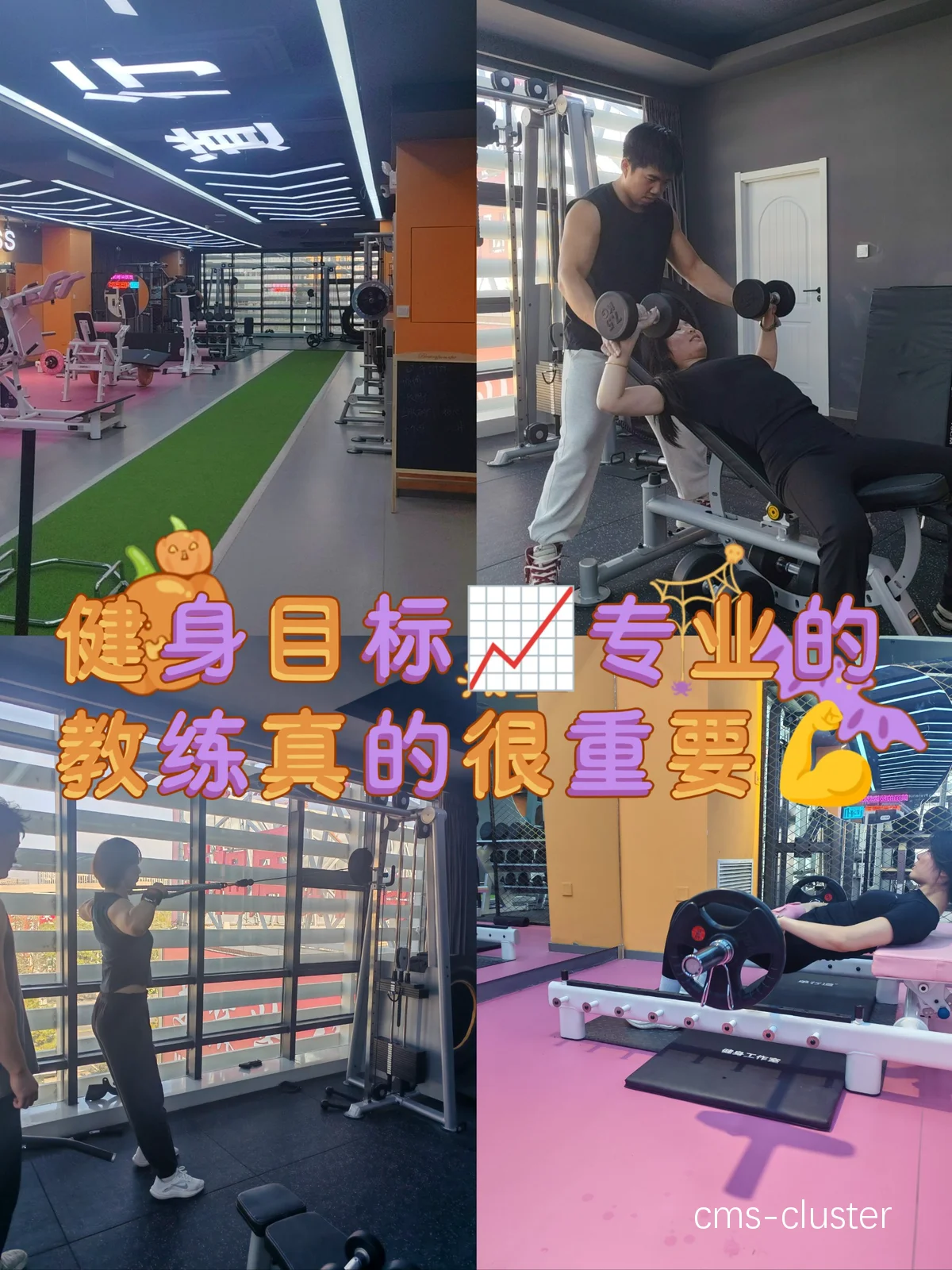 专业教练指导