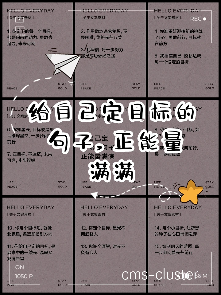 目标设定示例