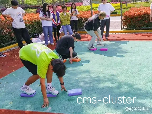 趣味训练活动