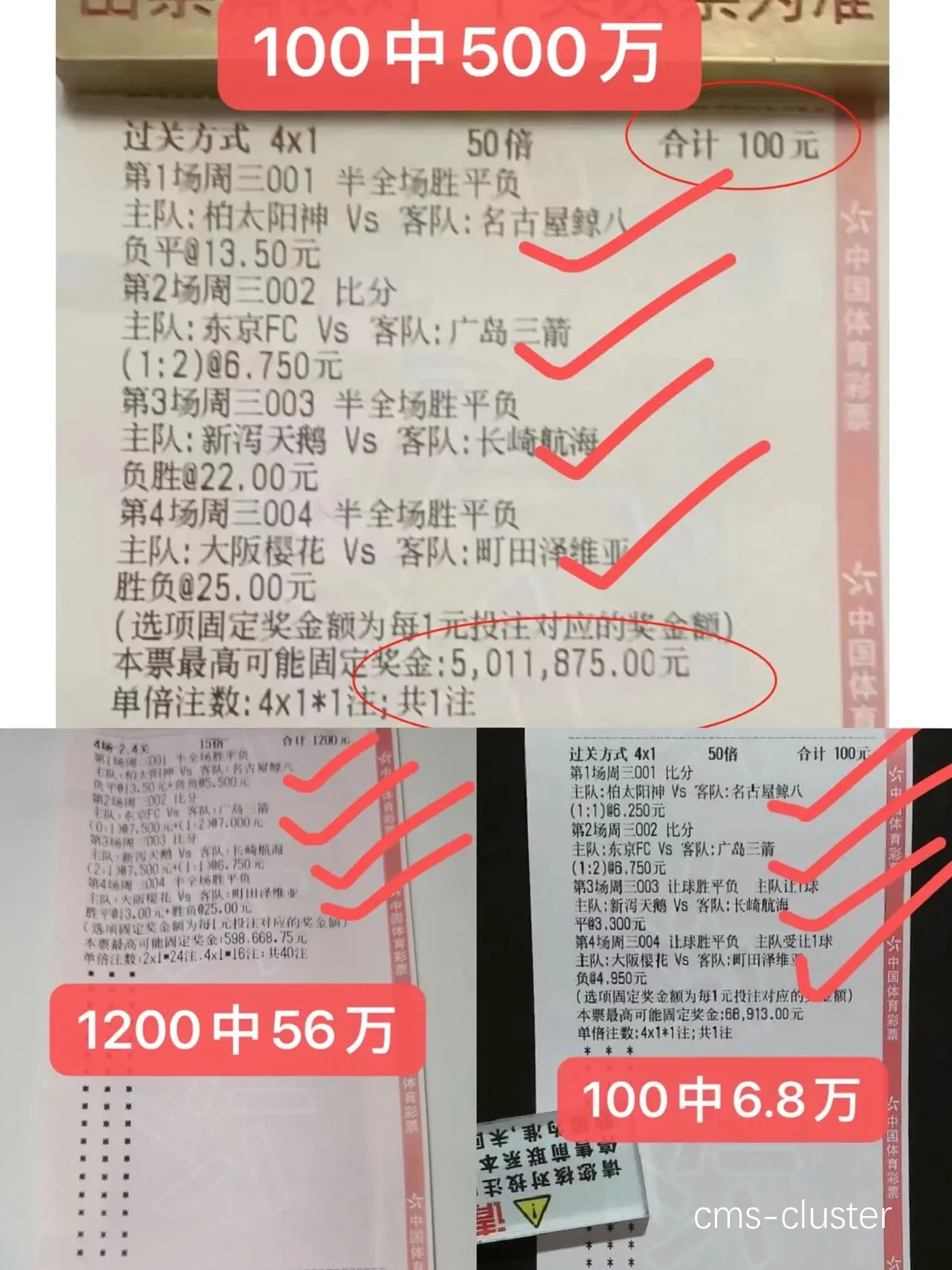 比分数据分析