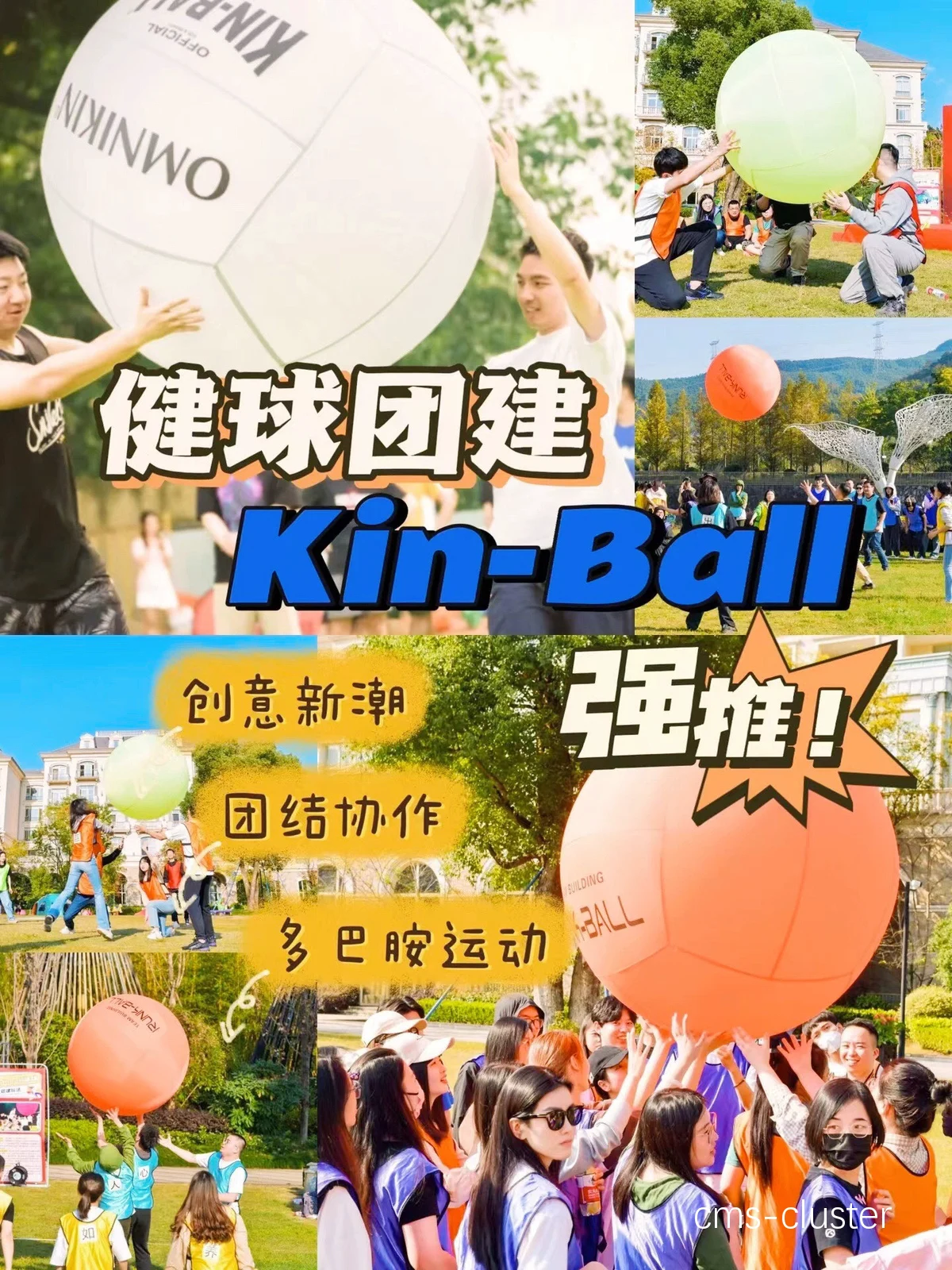 团队合作训练场景