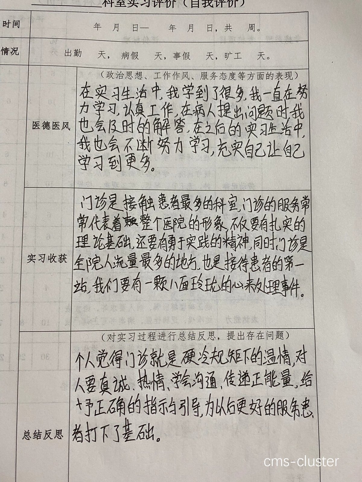 训练报告示例