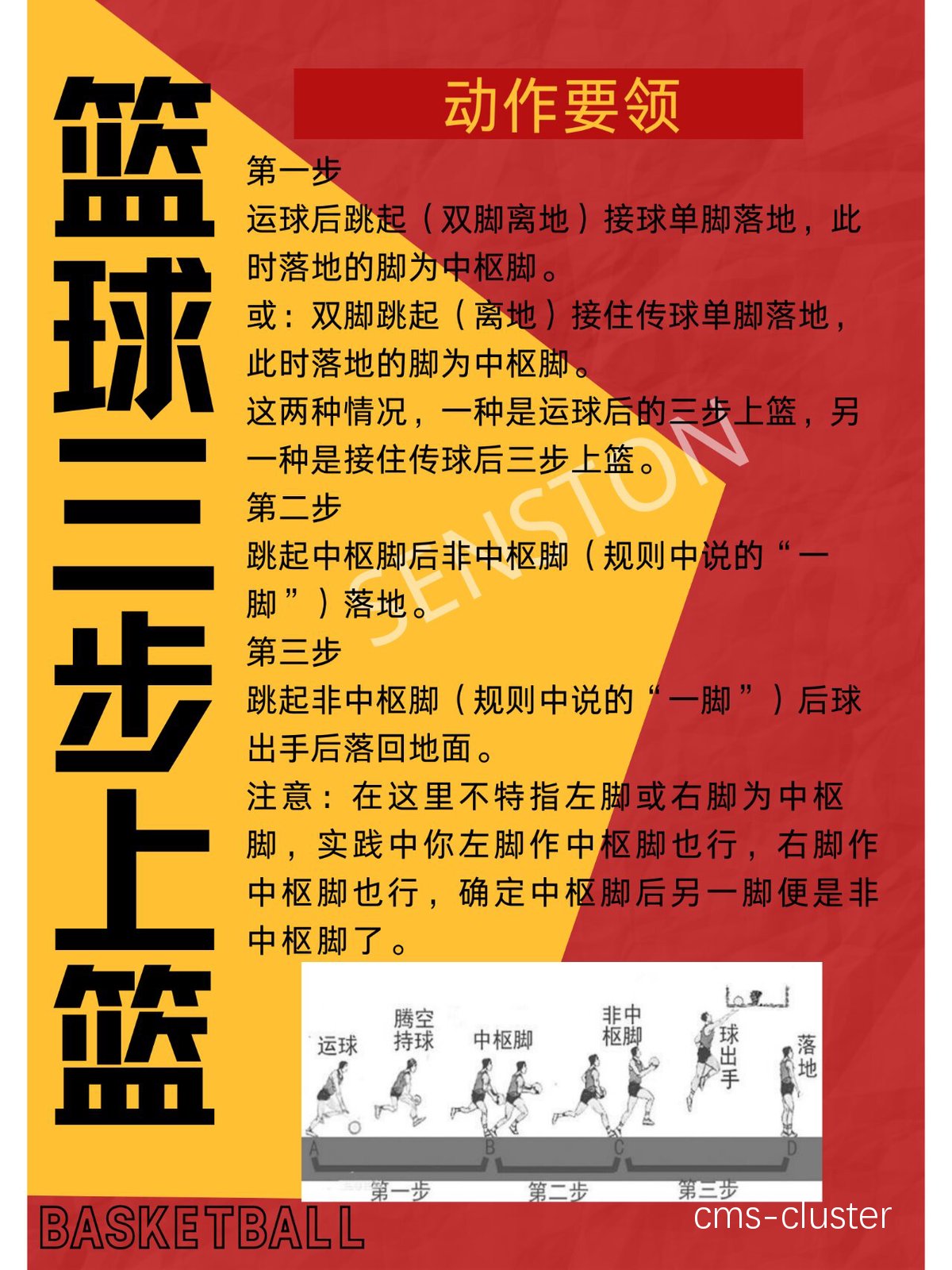 如何在有限时间内高效完成篮球训练路径