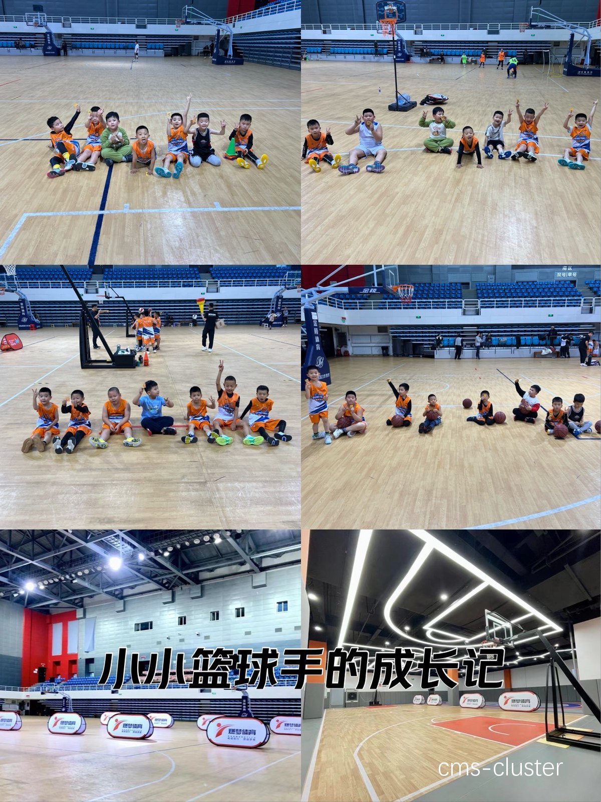 家长如何为孩子选择合适的篮球智能培训