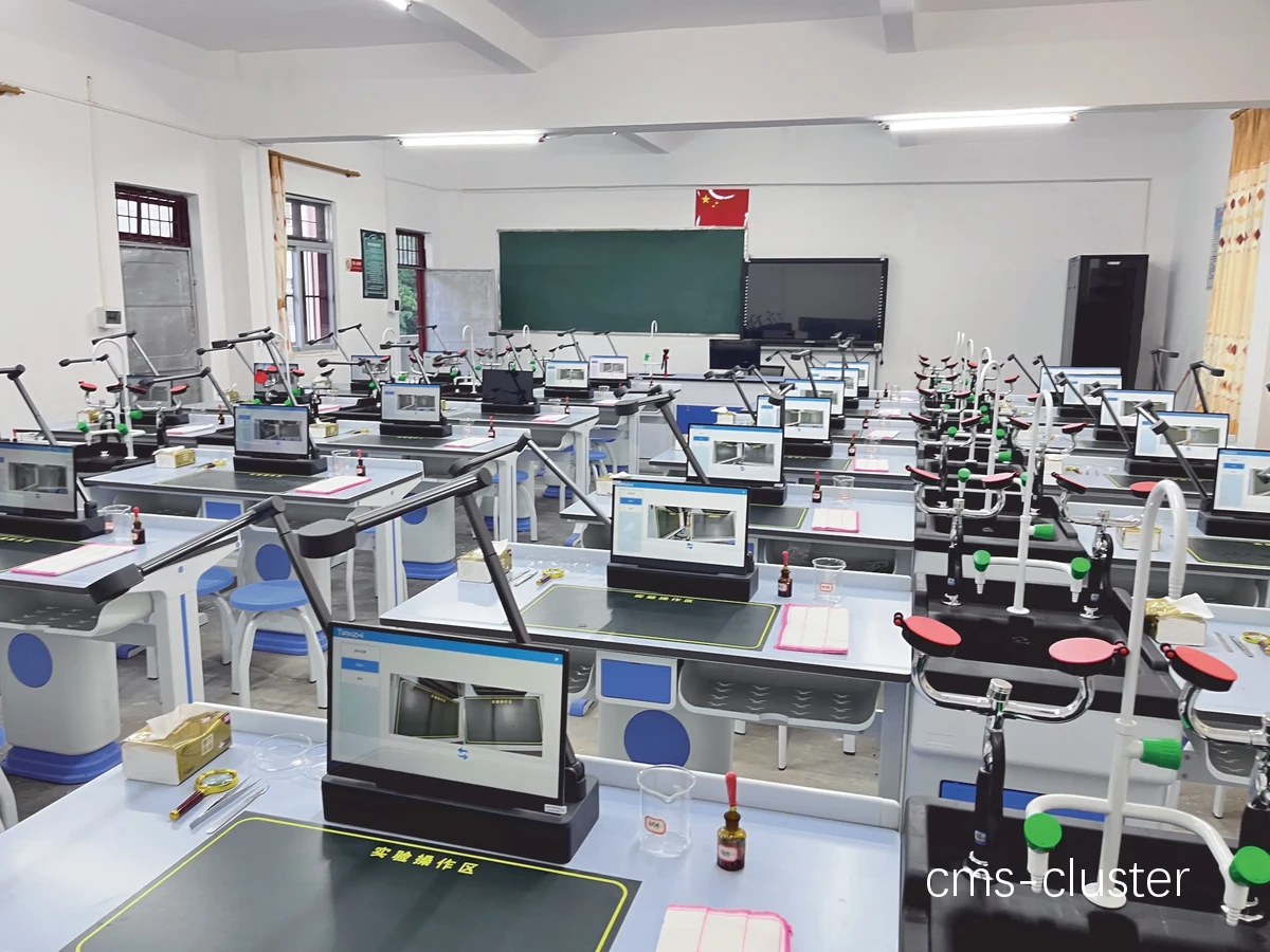 如何通过智能反馈平台监控和调整篮球训练进度