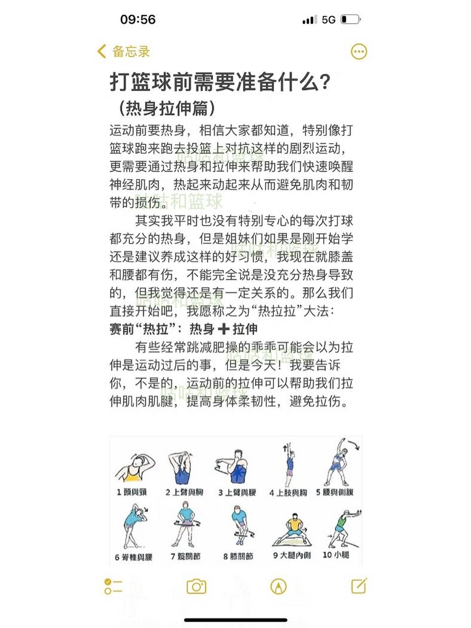 通过拉伸练习提升篮球运动员的恢复效果