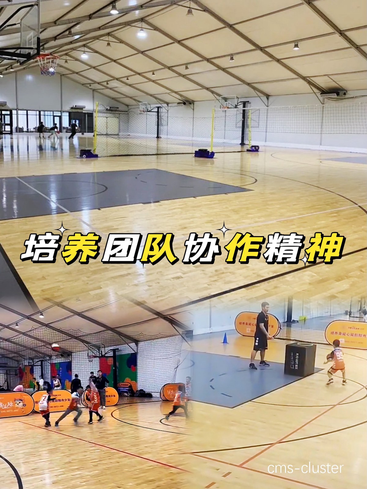 智能指导下的篮球团队协作训练方法