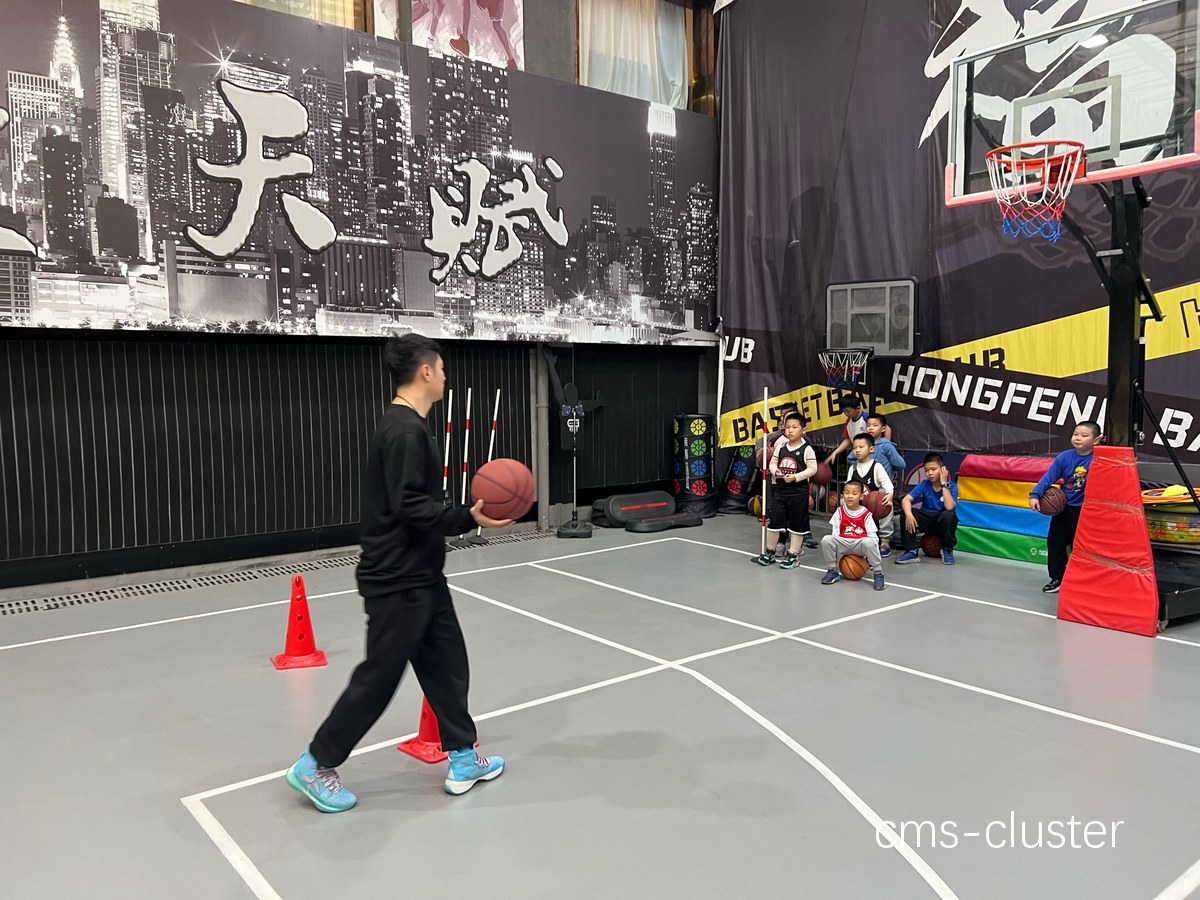 哪里可以找到适合青少年的篮球互动训练营