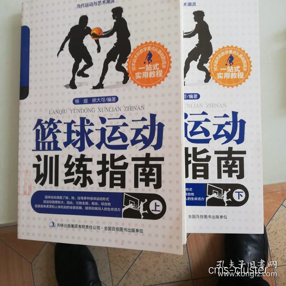 哪里可以找到关于篮球奖项的训练指南