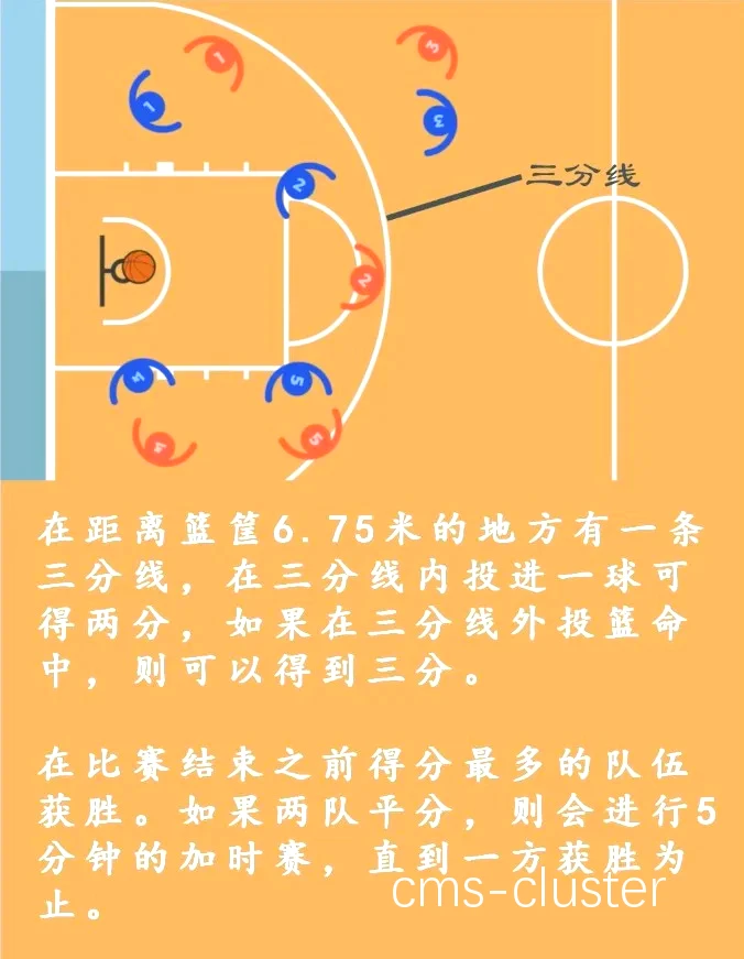 哪里有适合初学者的篮球基础功能训练