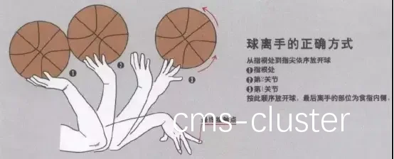 哪里可以找到解决篮球训练瓶颈的方法