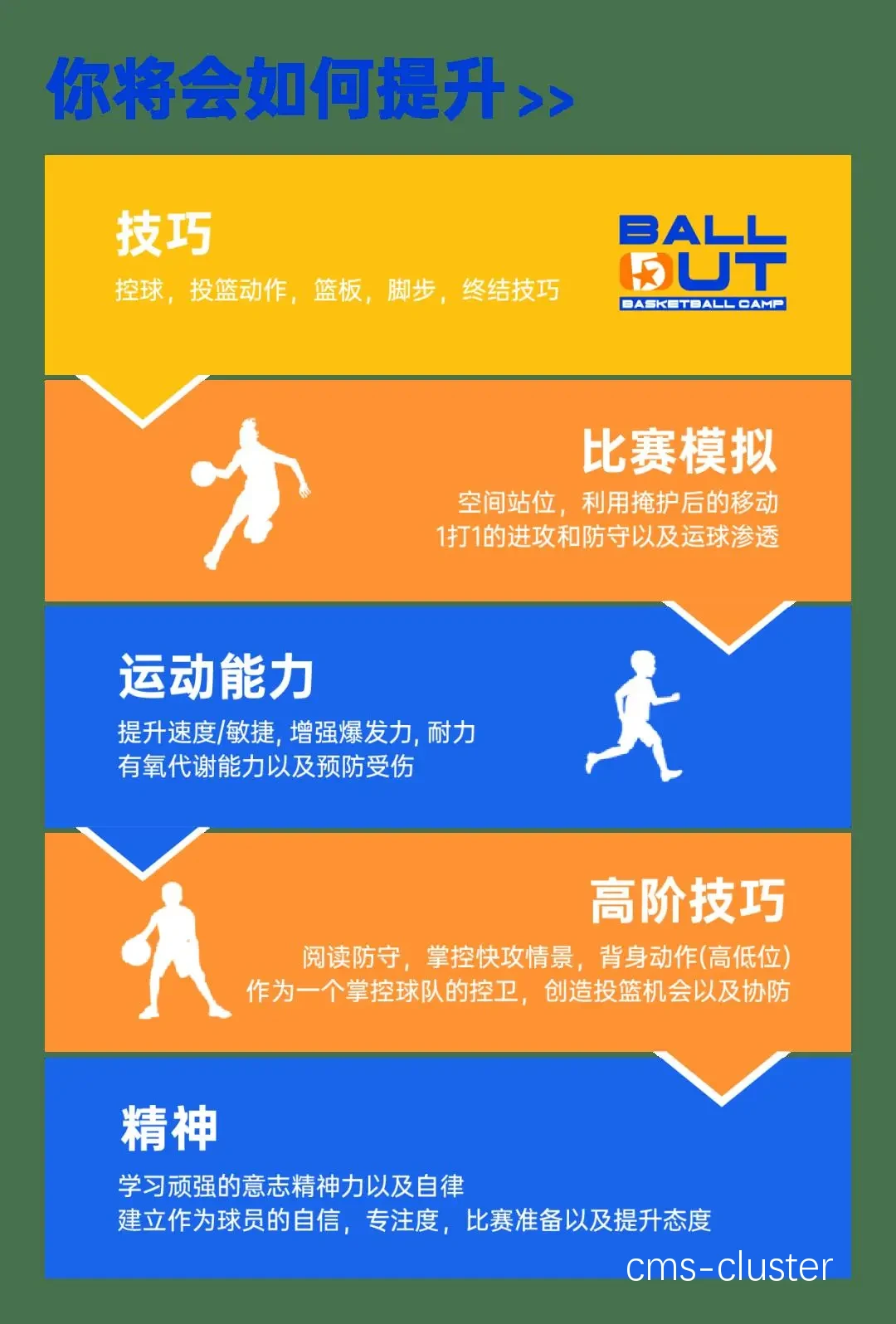 如何通过篮球代言为青少年提供更好的训练设备