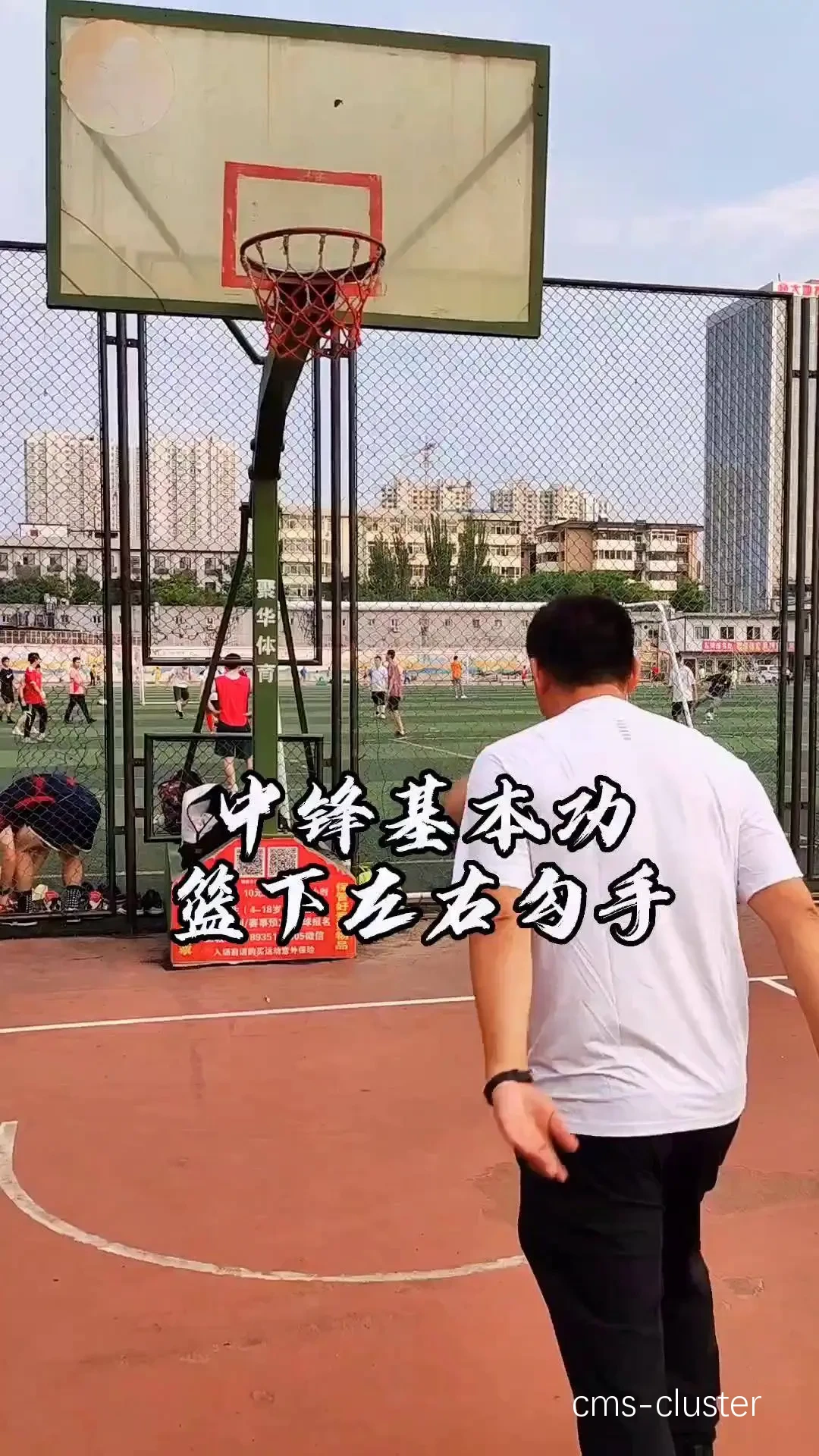 教练如何带领团队跟上篮球训练的发展趋势