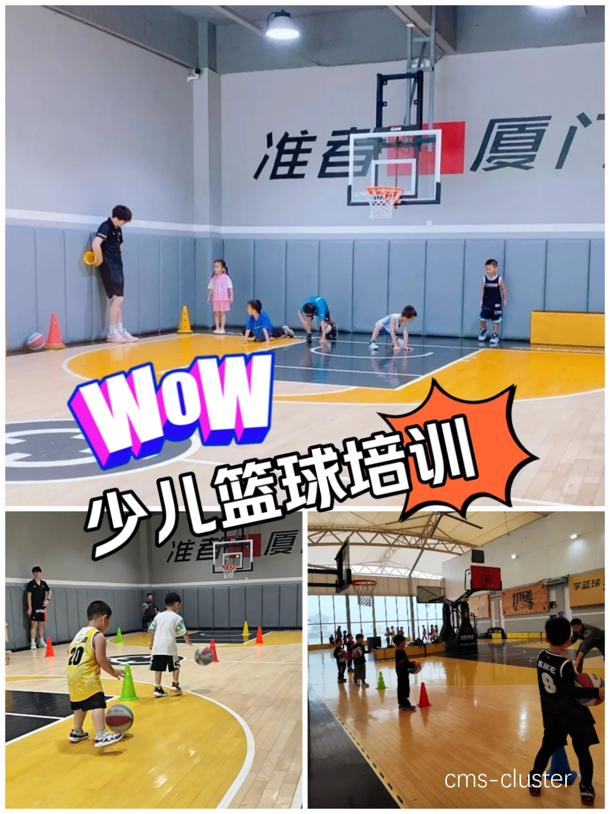 哪里有适合初学者的高强度篮球训练营