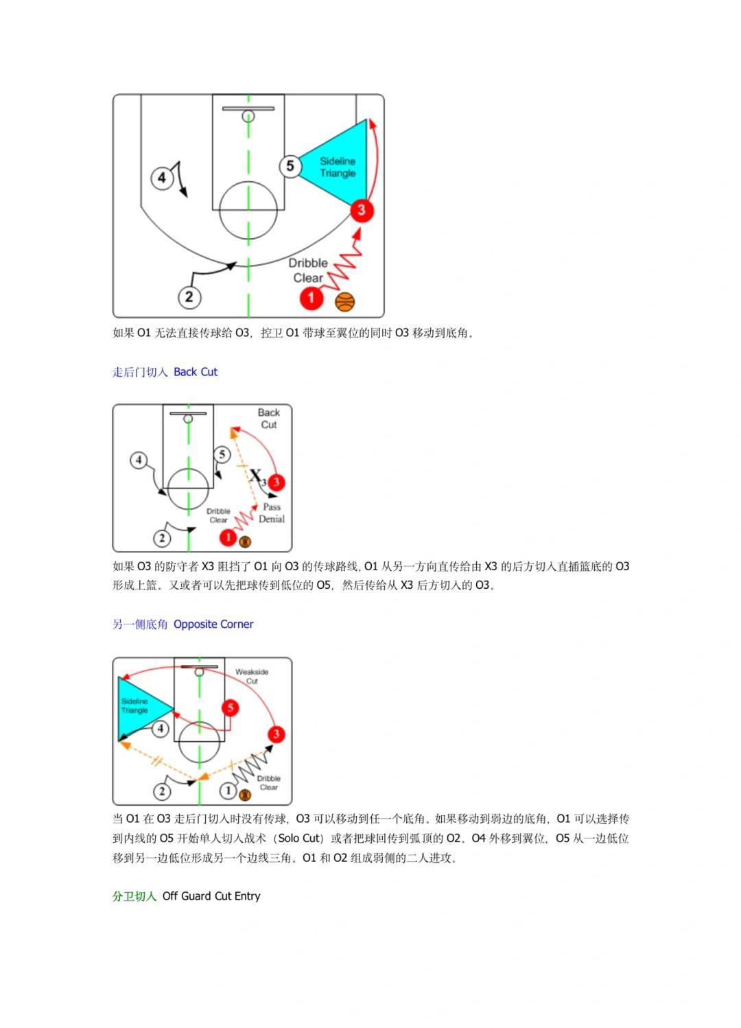 新手篮球教练如何帮助球员适应新战术?