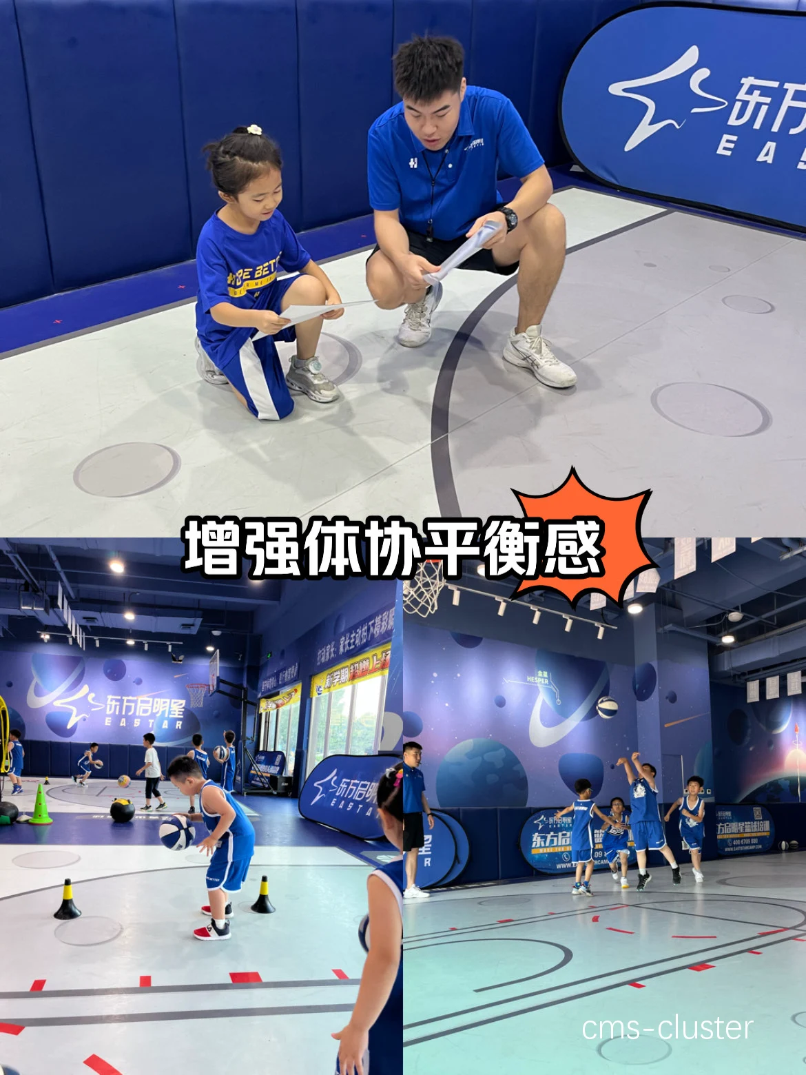 学生球员如何平衡学业与篮球背景训练