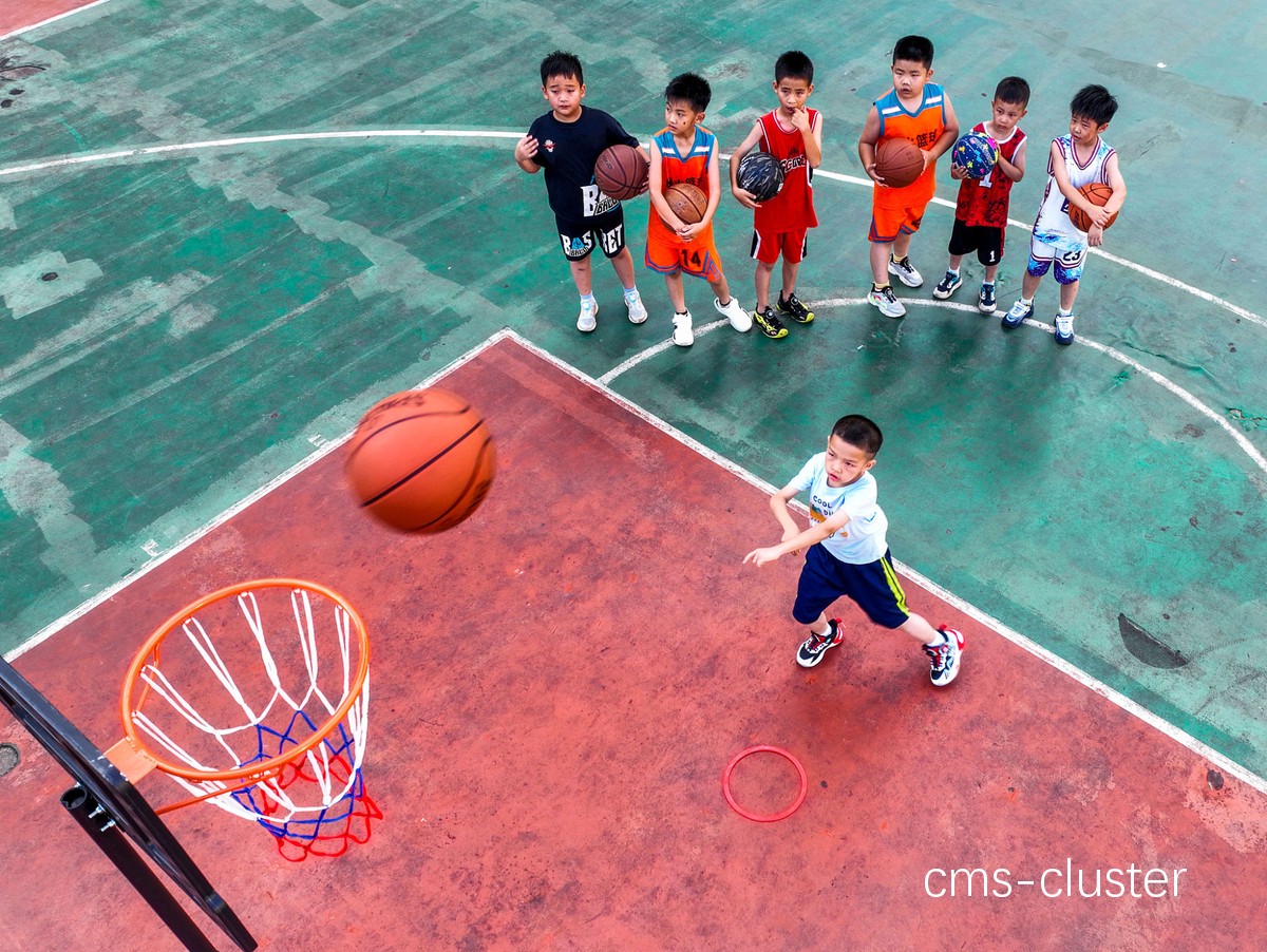 哪里能找到适合青少年的篮球效能训练?