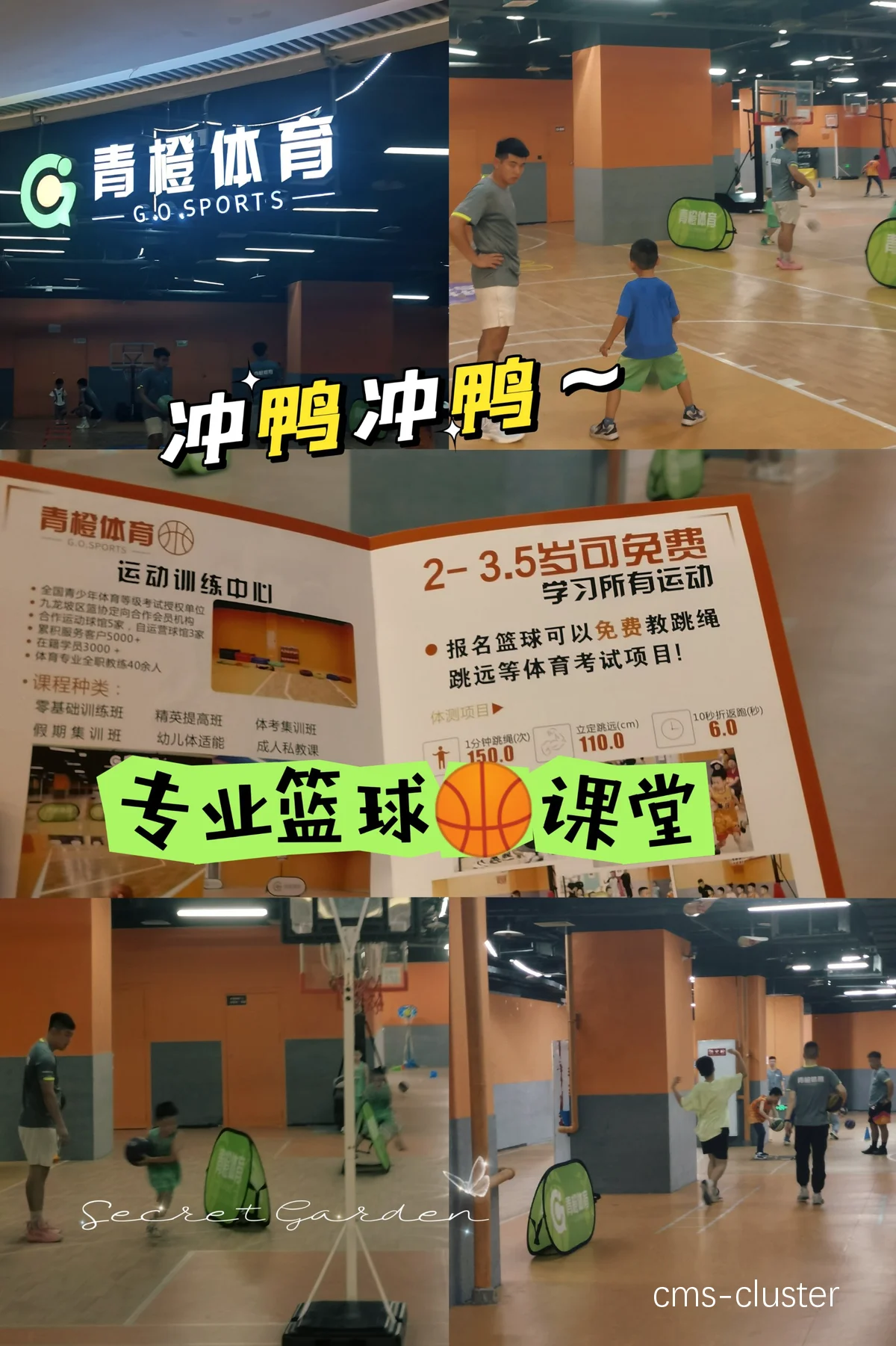 在哪里能找到最前沿的篮球训练课程?