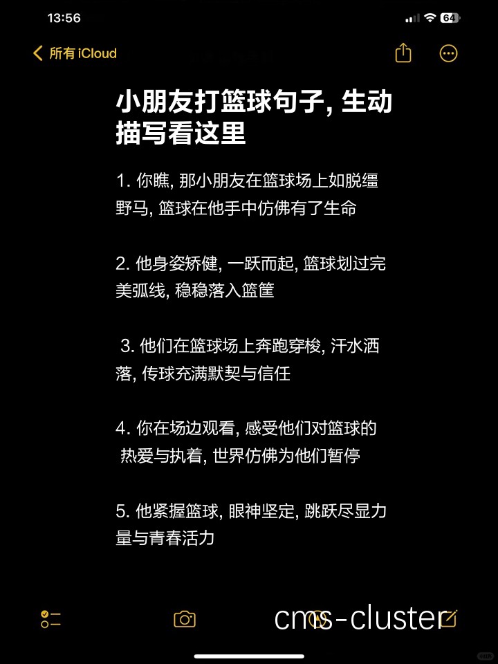 初学者必看的篮球训练励志故事