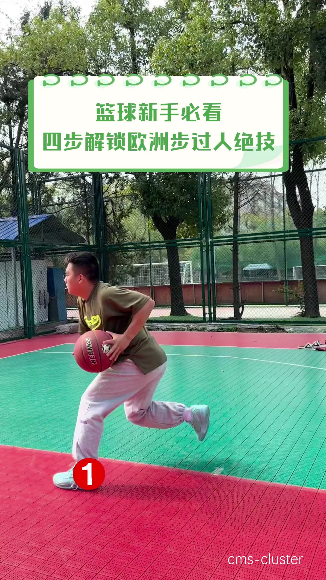 新手篮球爱好者如何跟随篮球传奇的脚步