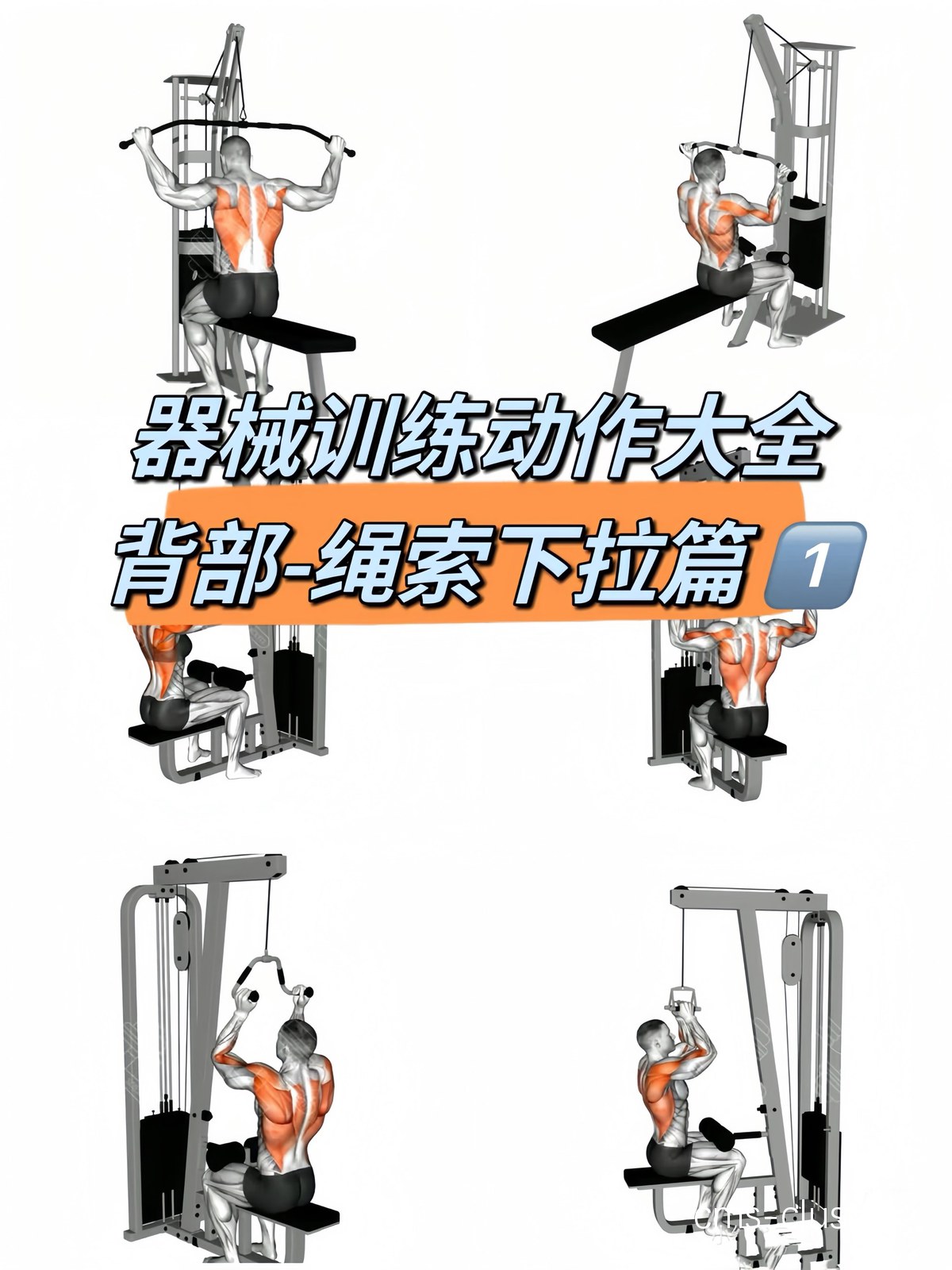 教练员如何利用网络化工具提高训练效率