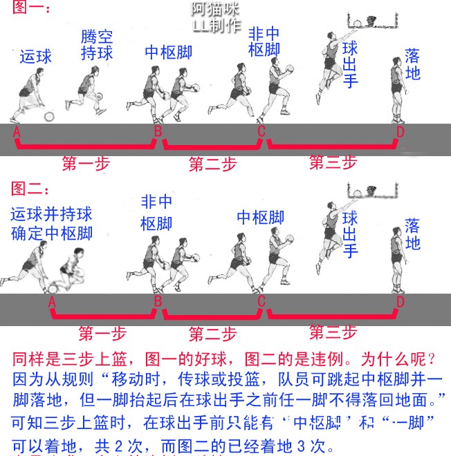 篮球训练蓝图中的关键要素有哪些