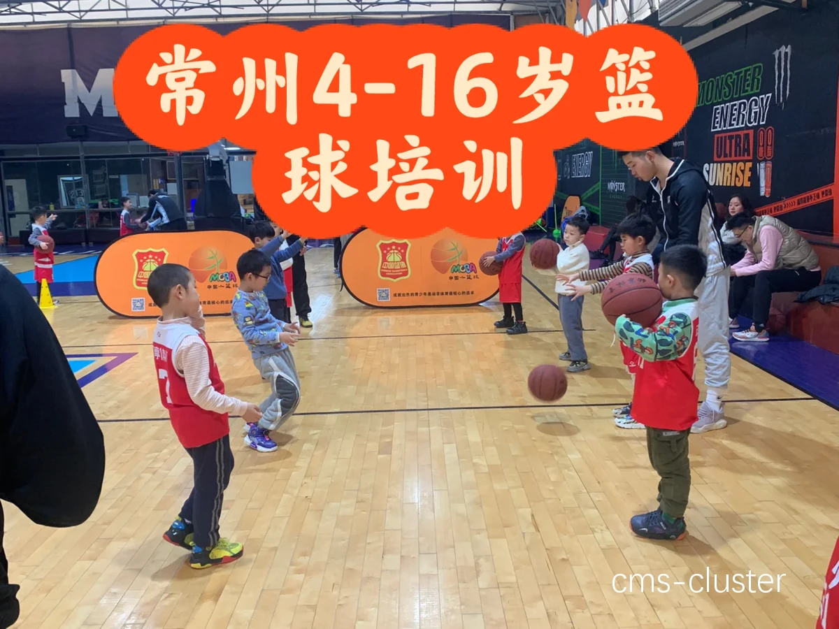 哪里有适合青少年的优秀篮球训练课程