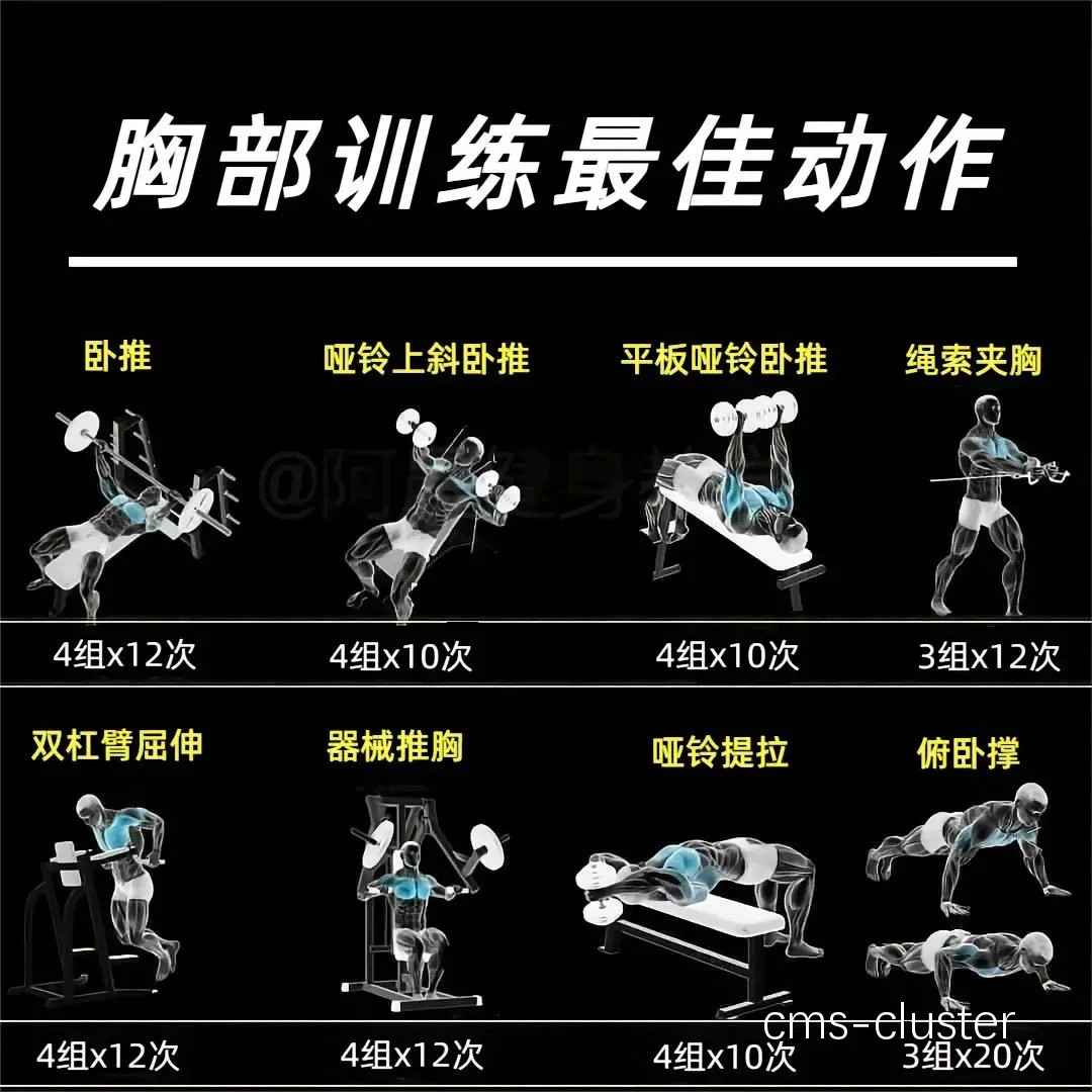 篮球康复训练设备的使用方法
