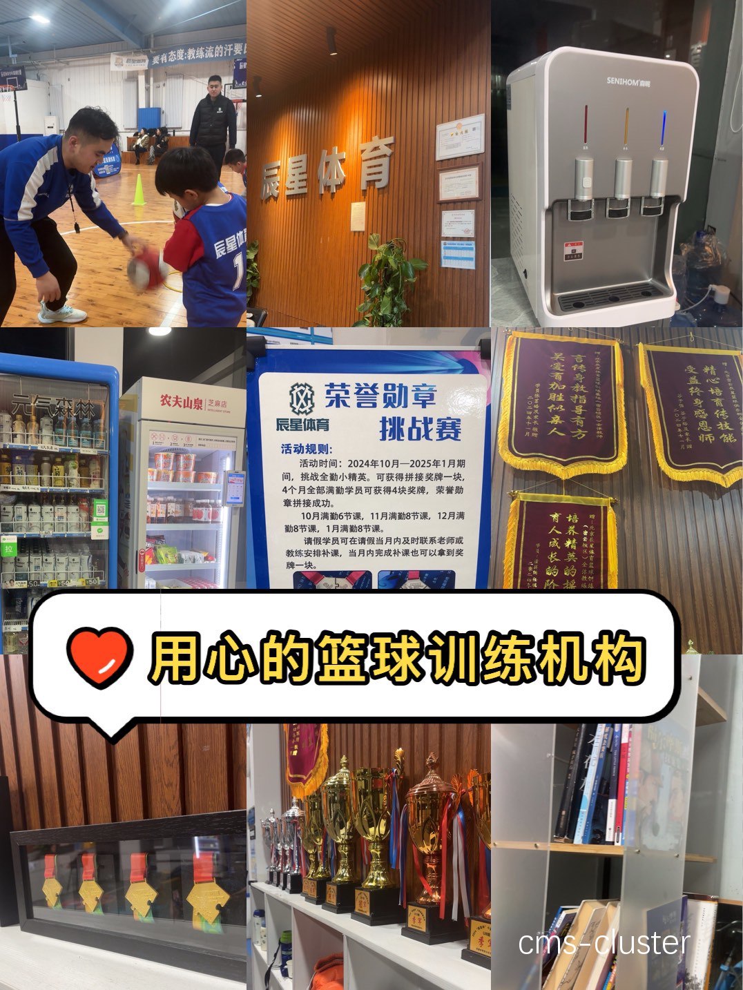 哪里有专门研究大数据在篮球训练中应用的机构