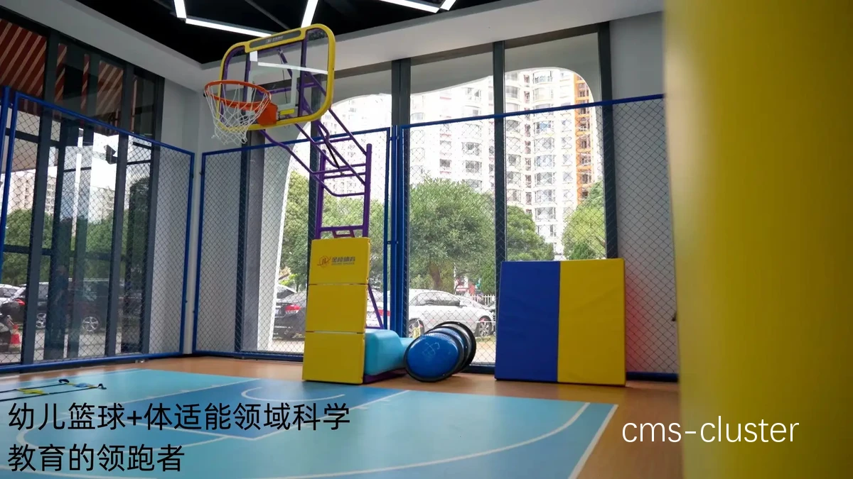 青少年篮球爱好者如何使用智能化训练工具