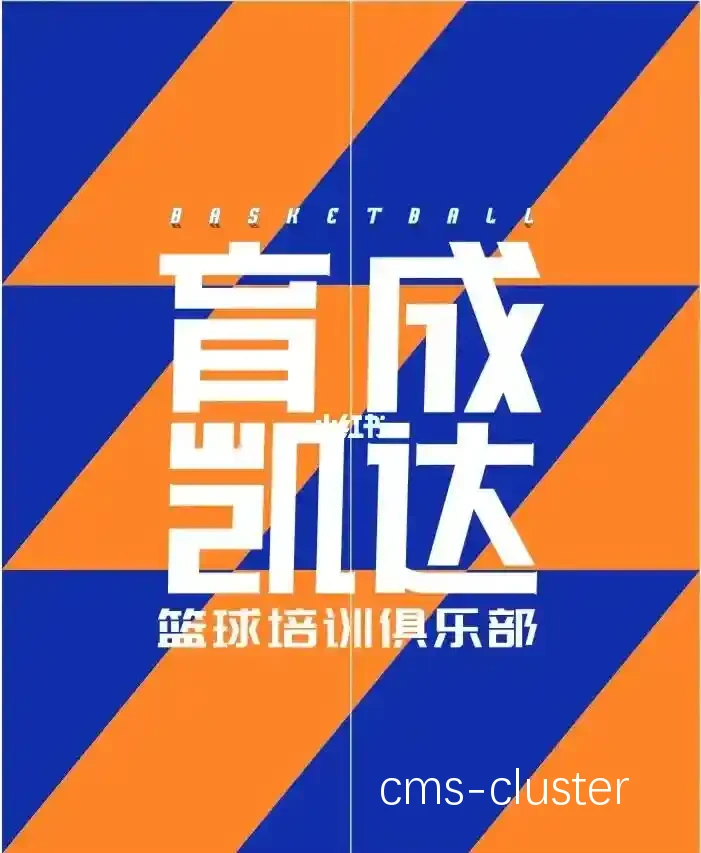 篮球俱乐部如何为成员提供愿景支持
