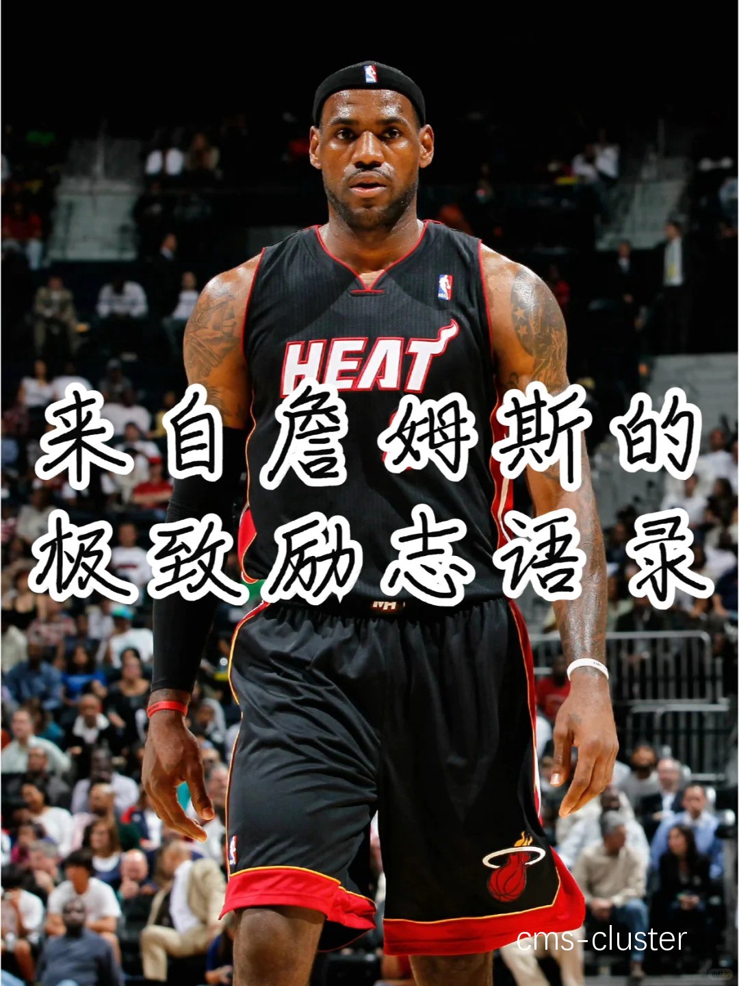 有哪些成功的篮球运动员是通过恒心取得成功的?