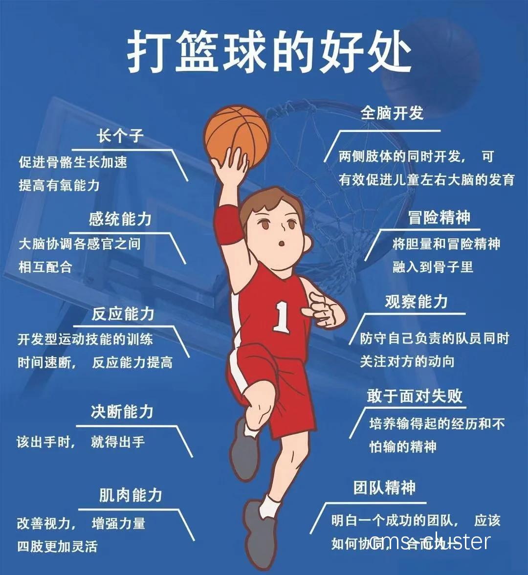 退役球员如何延续篮球使命