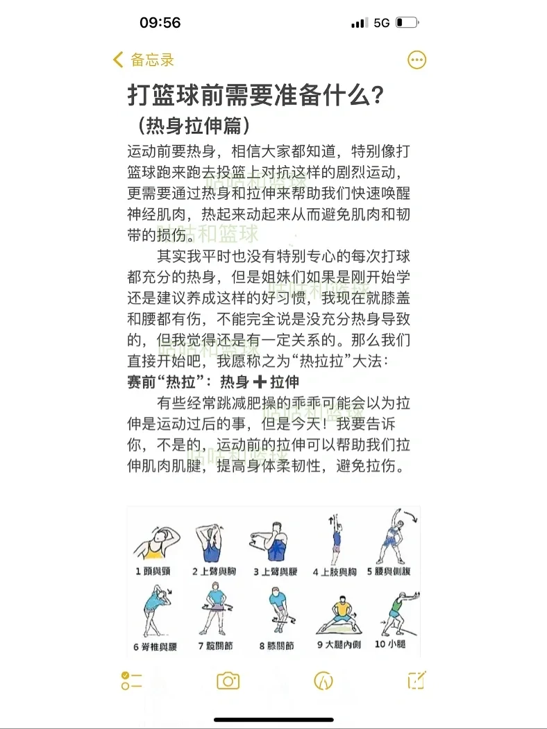 适合初学者的篮球训练宣传方案有哪些