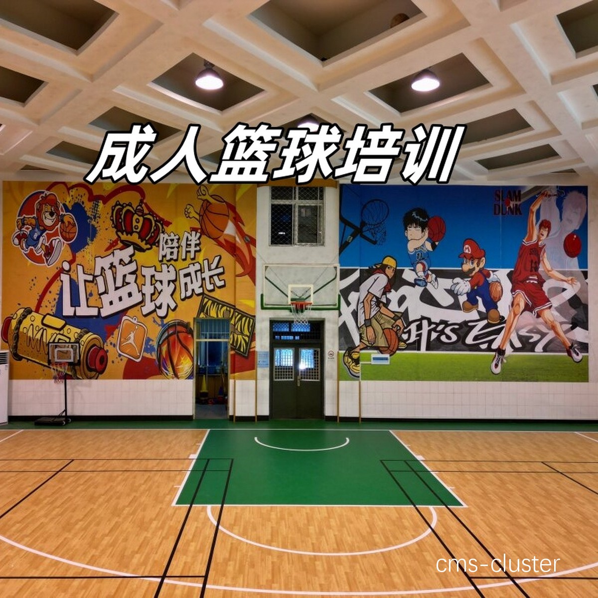 篮球培训机构如何吸引更多成年学员