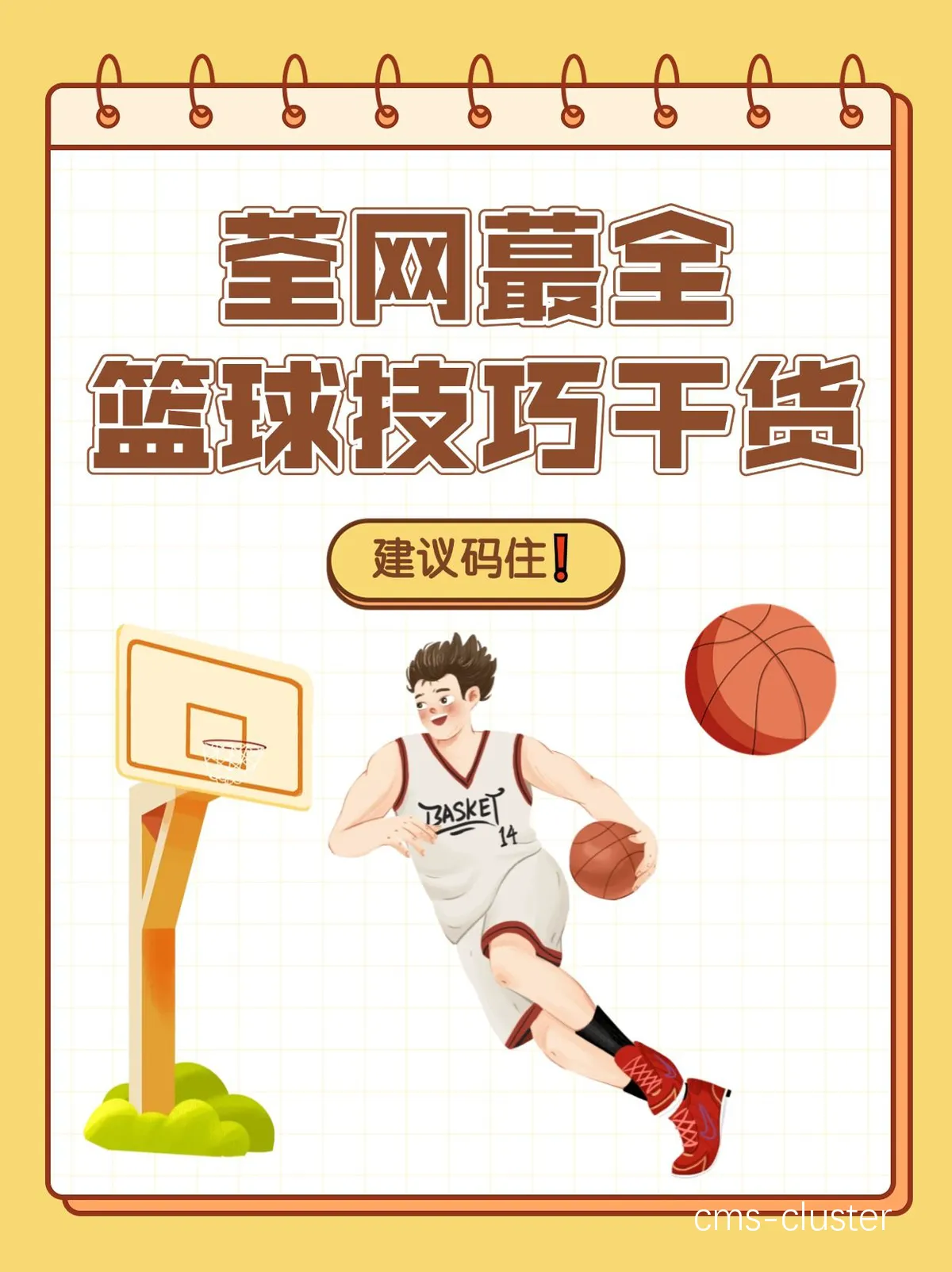老年爱好者如何通过网络化平台保持篮球兴趣