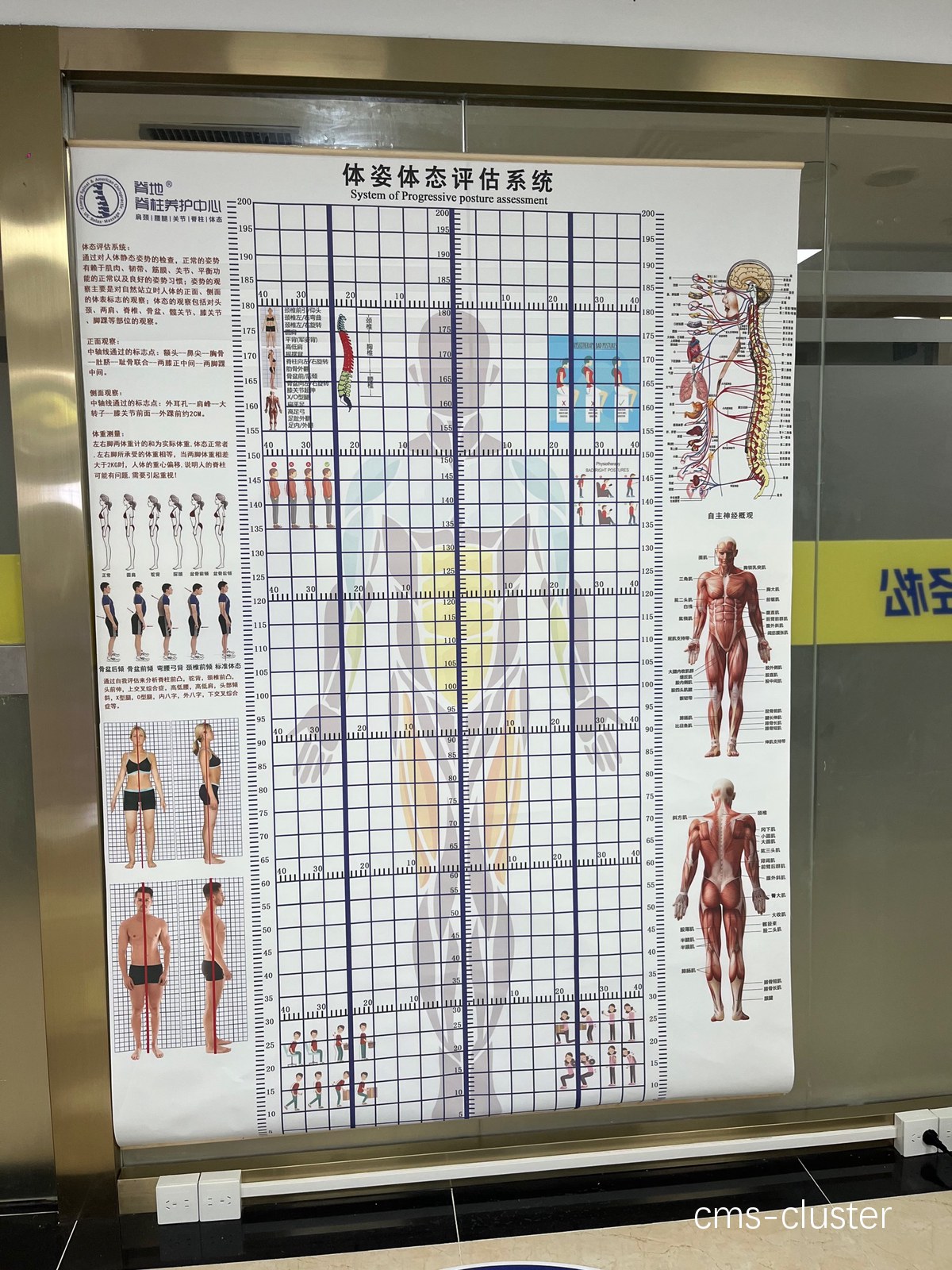 康复期篮球运动员如何恢复性地进行测量