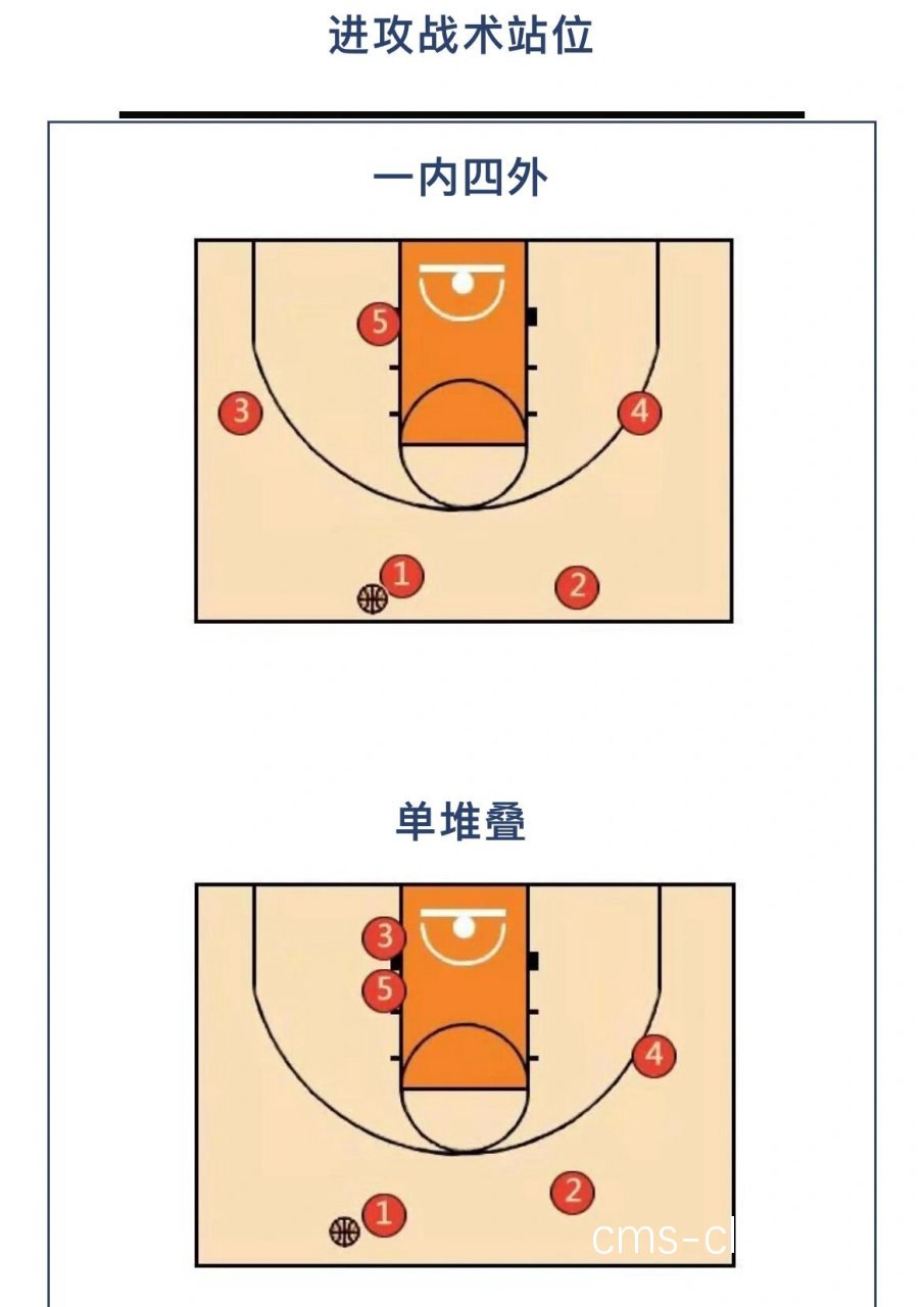 新手教练如何选择合适的篮球战术板